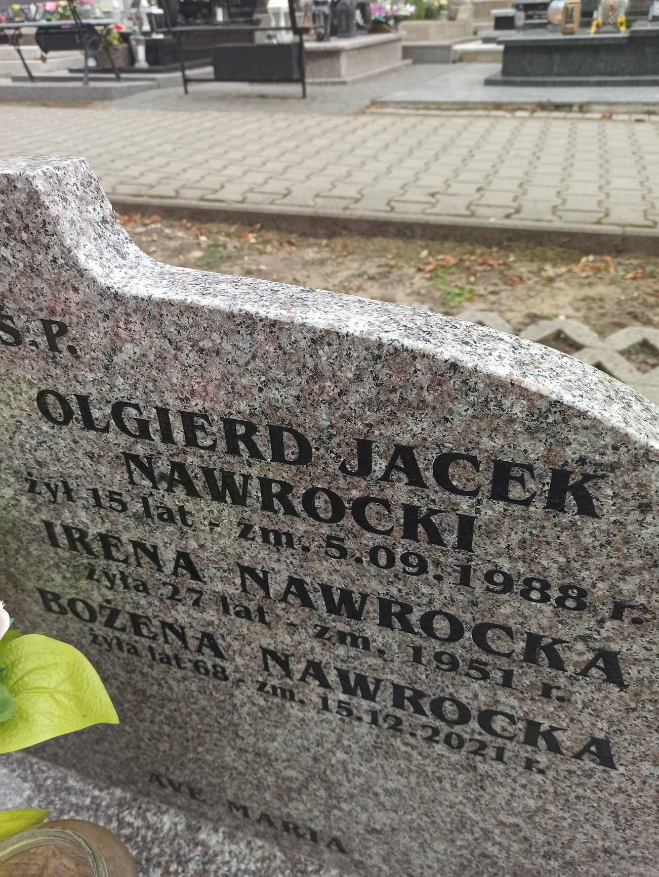 Bożena Nawrocka 1953 Licheń Stary - Grobonet - Wyszukiwarka osób pochowanych