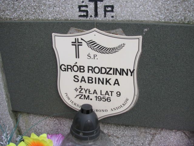 Zdzisław Lidźbiński 1933 Licheń Stary - Grobonet - Wyszukiwarka osób pochowanych